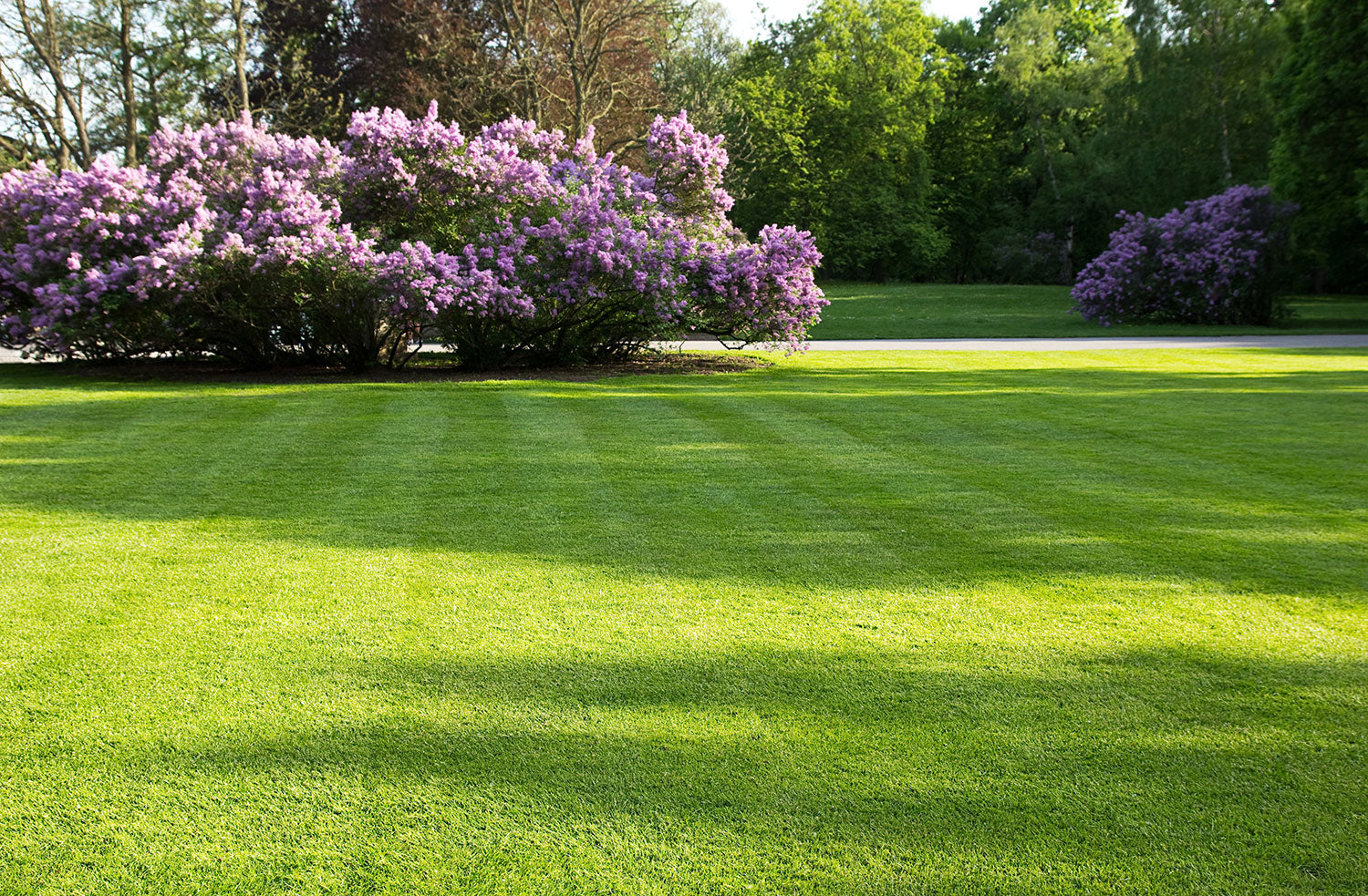 How To Choose The Right Fertiliser