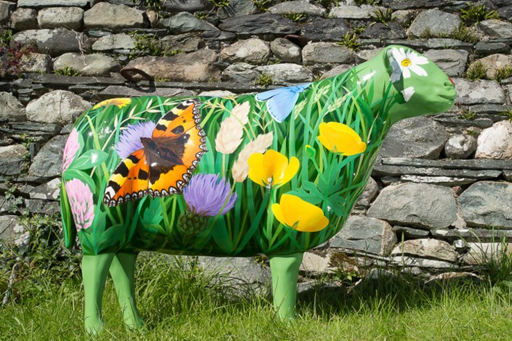 Star Grazer Ewe