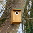 Wildlife World Bird Nest Box