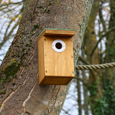 Wildlife World Bird Nest Box