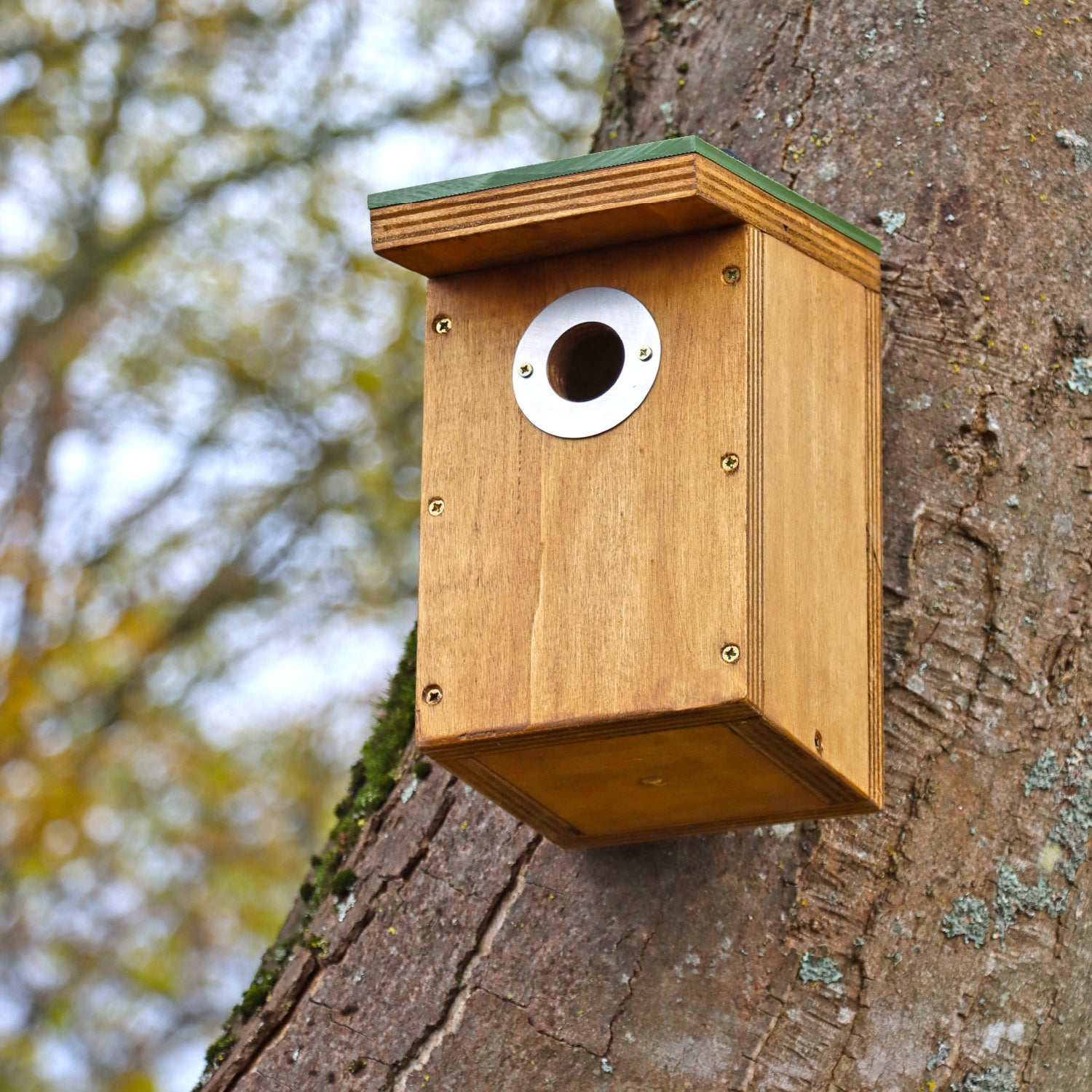 Wildlife World Bird Nest Box