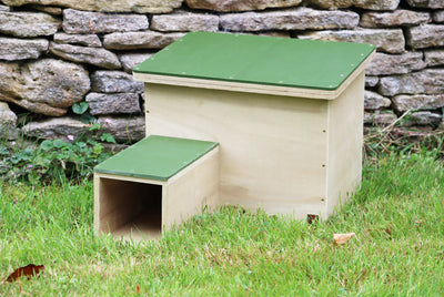 Classic Hedgehog House