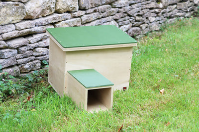 Classic Hedgehog House