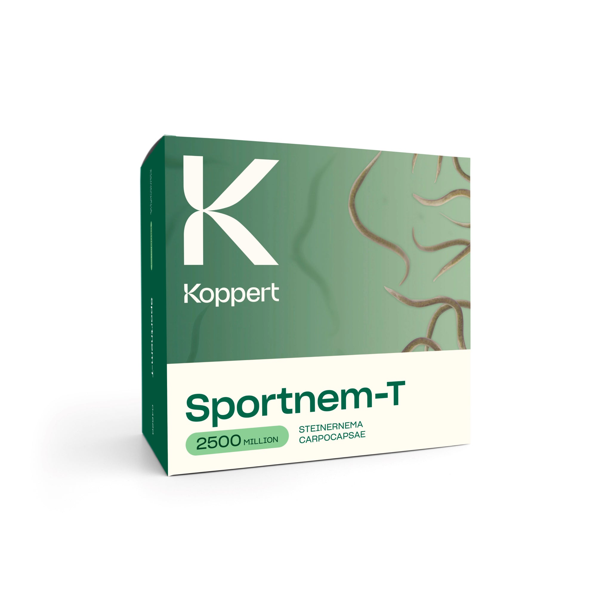 Sportnem-T Leatherjacket Killer