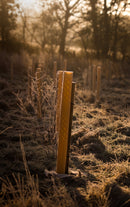 Tree Hugger™ Biodegradable Shelters