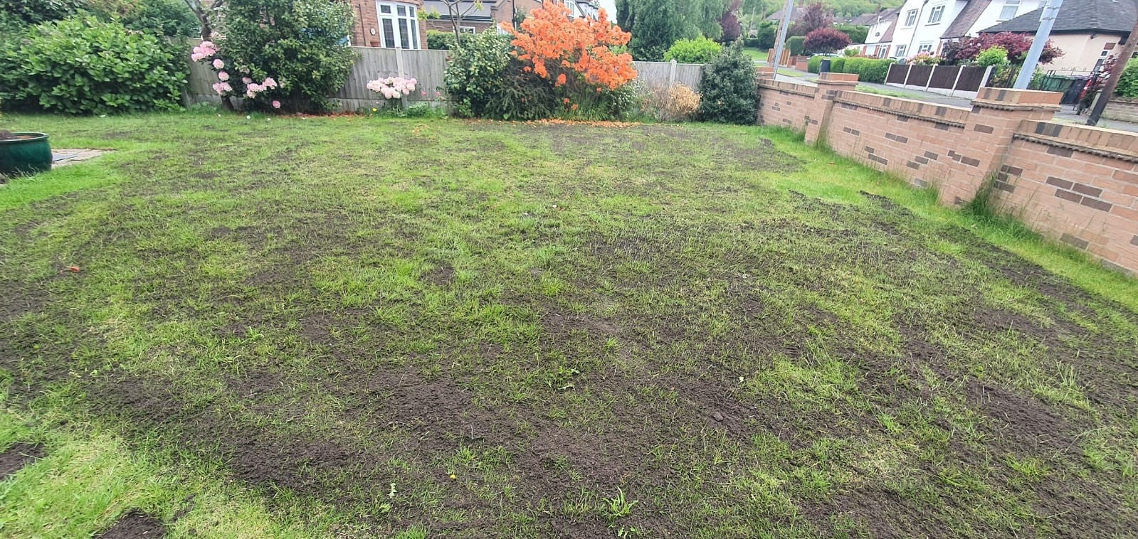 eyJhbHRfdGV4dCI6ImVucmljaGVkIHRvcCBzb2lsIDMiLCJvcmlnaW5hbF91cmwiOiJodHRwczpcL1wvZDJqMzFpY3Y2ZGxoejYuY2xvdWRmcm9udC5uZXRcL09cL3Q1N1MwSDFmNjhsS3p3VkZ3M0dnXC9lbnJpY2hlZC10b3Atc29pbC0zLmpwZWciLCJ1cGxvYWRfdXJsIjoiaHR0cHM6XC9cL2QyajMxaWN2NmRsaHo2LmNsb3VkZnJvbnQubmV0XC9PXC90NTdTMEgxZjY4bEt6d1ZGdzNHZ1wvcHJvZHVjdC1kZXNjcmlwdGlvbi1wcmVtaXVtLWVucmljaGVkLXRvcC1zb2lsLWVucmljaGVkLXRvcC1zb2lsLTMuanBlZyJ9