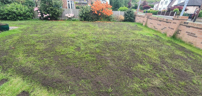 eyJhbHRfdGV4dCI6ImVucmljaGVkIHRvcCBzb2lsIDMiLCJvcmlnaW5hbF91cmwiOiJodHRwczpcL1wvZDJqMzFpY3Y2ZGxoejYuY2xvdWRmcm9udC5uZXRcL09cL3Q1N1MwSDFmNjhsS3p3VkZ3M0dnXC9lbnJpY2hlZC10b3Atc29pbC0zLmpwZWciLCJ1cGxvYWRfdXJsIjoiaHR0cHM6XC9cL2QyajMxaWN2NmRsaHo2LmNsb3VkZnJvbnQubmV0XC9PXC90NTdTMEgxZjY4bEt6d1ZGdzNHZ1wvcHJvZHVjdC1kZXNjcmlwdGlvbi1wcmVtaXVtLWVucmljaGVkLXRvcC1zb2lsLWVucmljaGVkLXRvcC1zb2lsLTMuanBlZyJ9