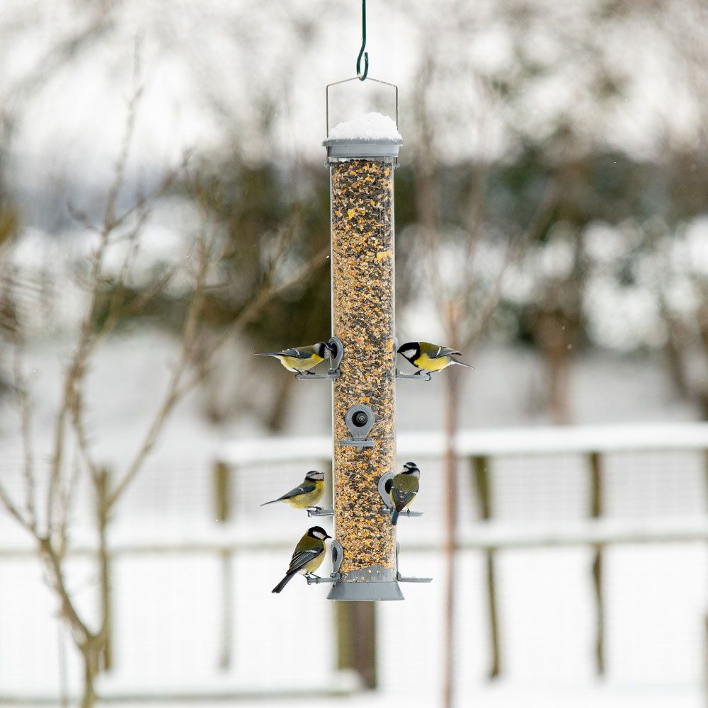 Metal Conqueror Feeder