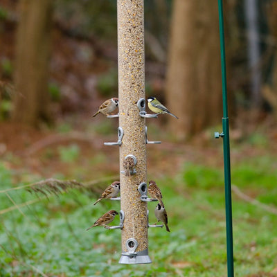 Metal Conqueror Feeder