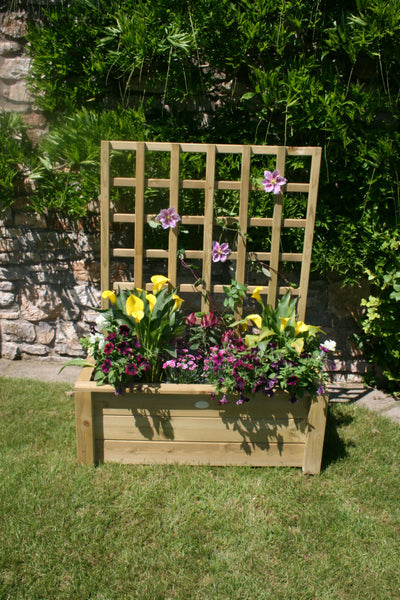 Darwin Trellis Planter