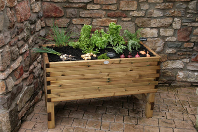 Darwin Raised Vegetable Planter