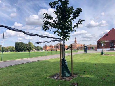 Tree Watering Bag 75L