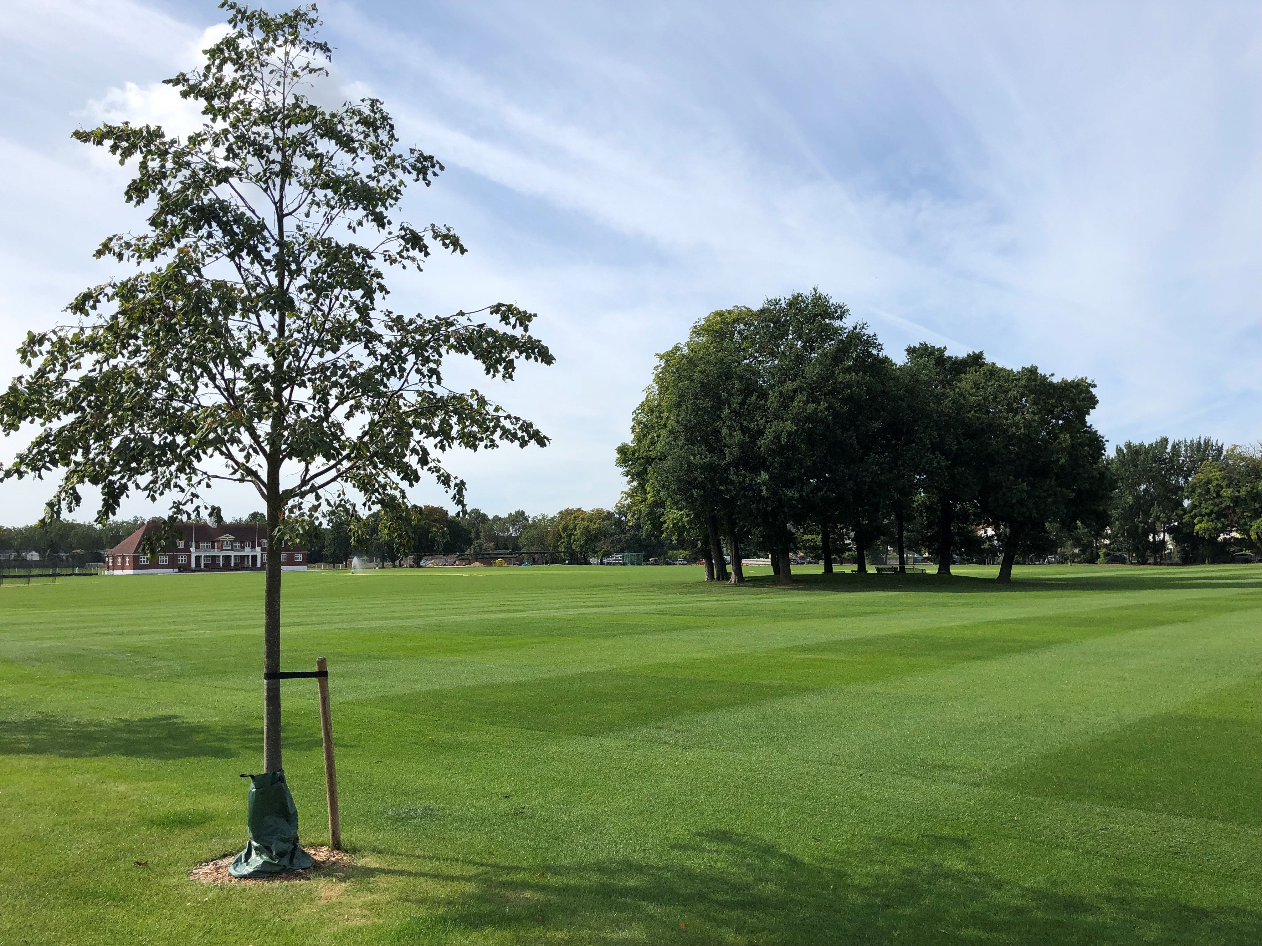 Tree Watering Bag 75L