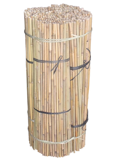 Bamboo Canes