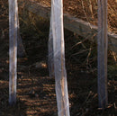 Spiral Tree Guards (per 250)