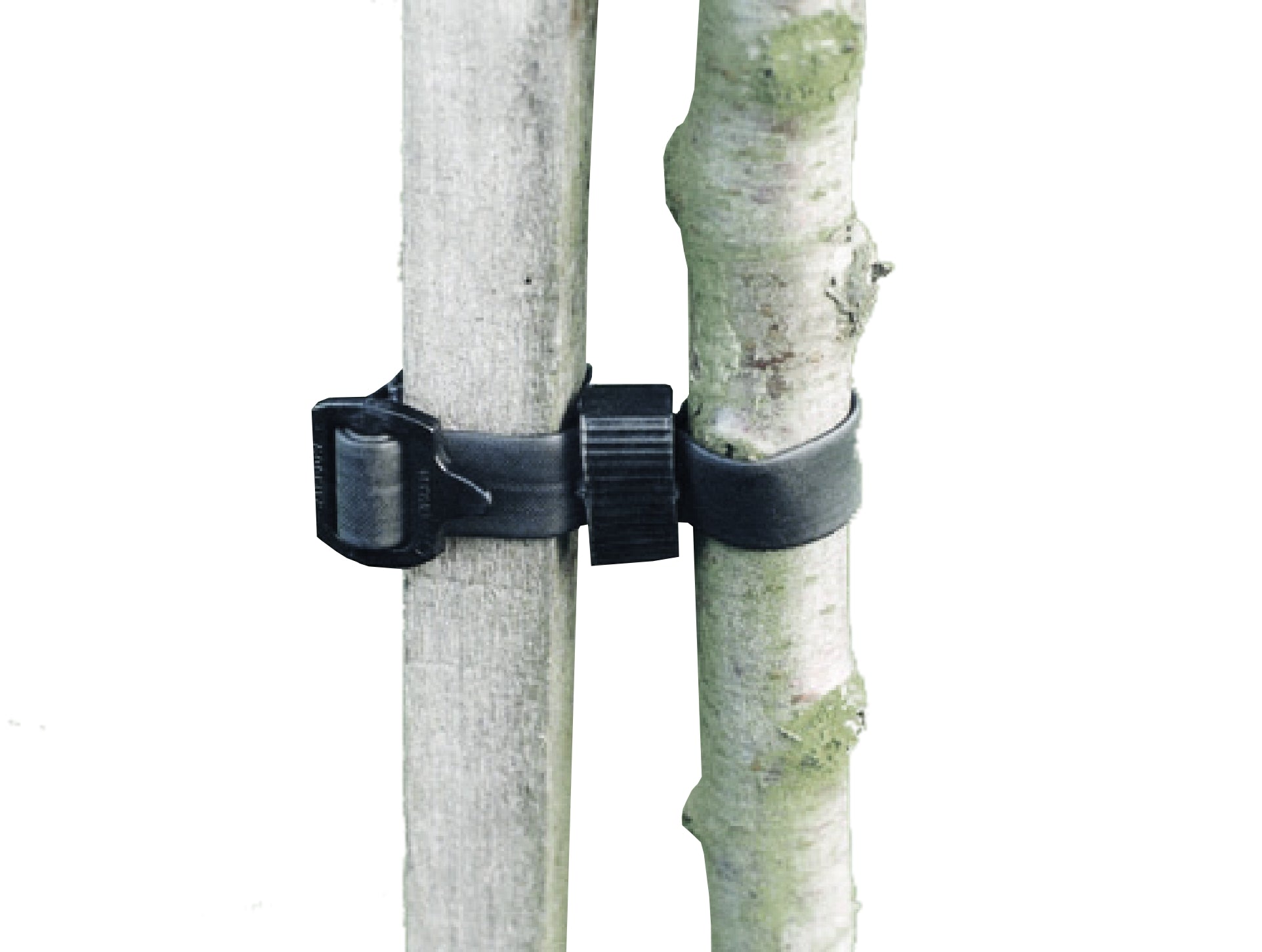 Rainbow Buckle Tree Ties