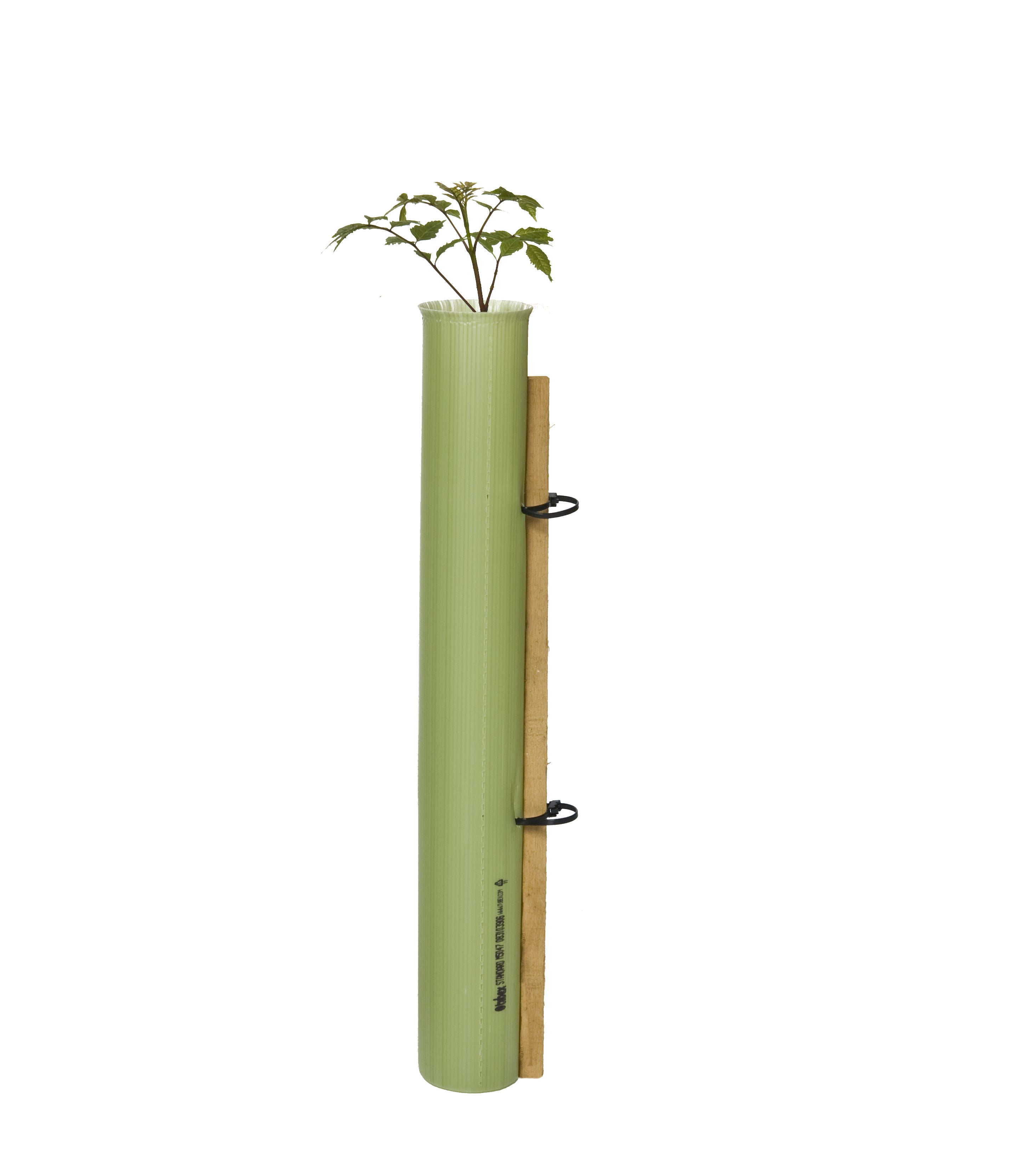 Tubex Standard - Tube Shelter for Trees Nest of 5