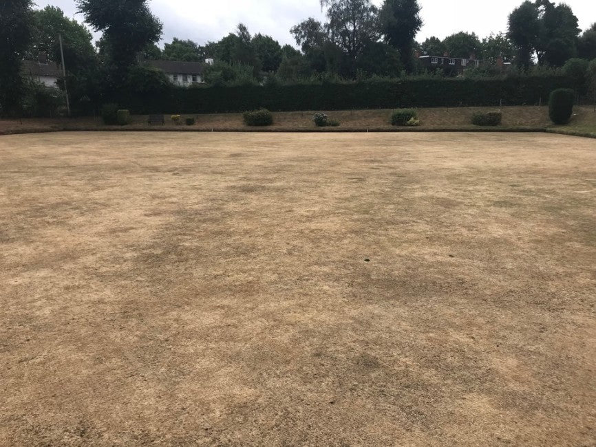 Drought stressed turf