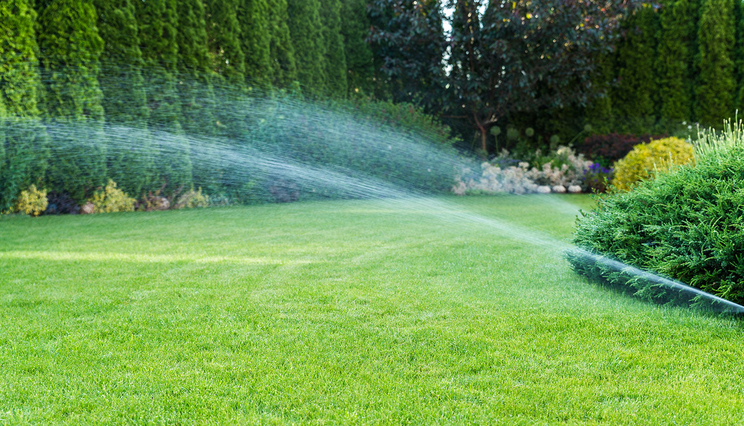How To Choose Which Irrigation System Is Best For You