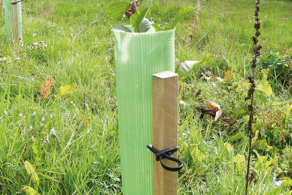 ALS Launch New Whiptec Tree Shelter