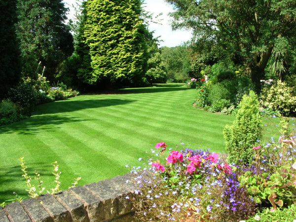 New Basic Lawn Care Training Course