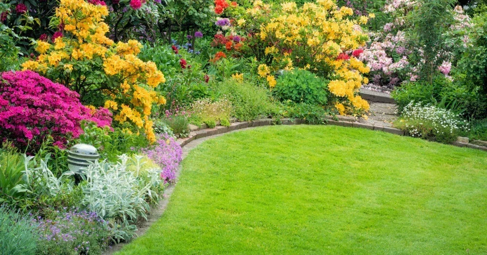 How To Get A Lush Lawn Using Organic Fertiliser