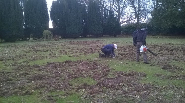 Renovating Rugby School's Historic Lawns from Chafer Grub Damage