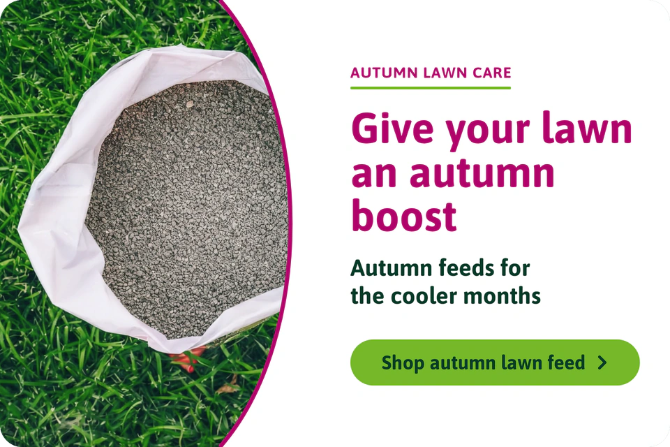 Autumn Lawn Feed