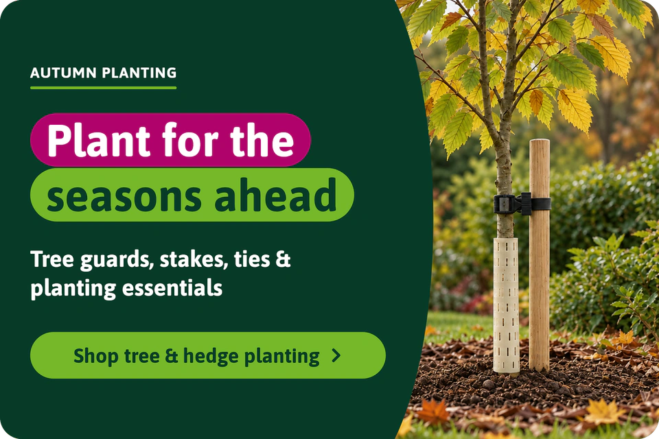 Tree and Hedge Planting