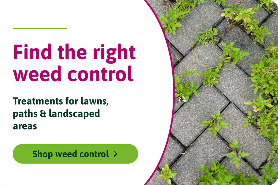 Weed Control