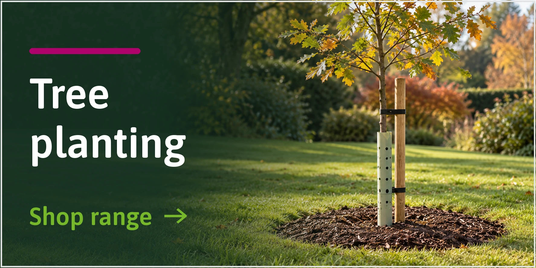 Tree Planting