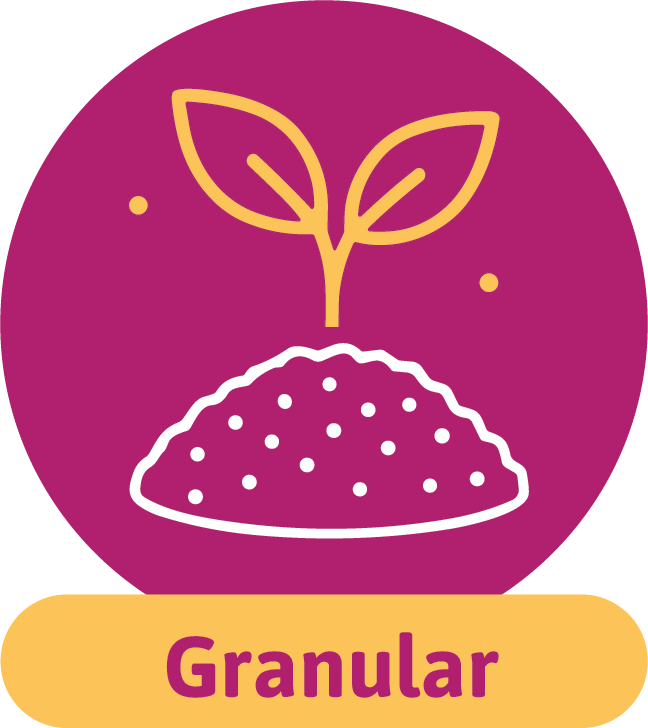 Revival Weed, Feed & Moss Killer