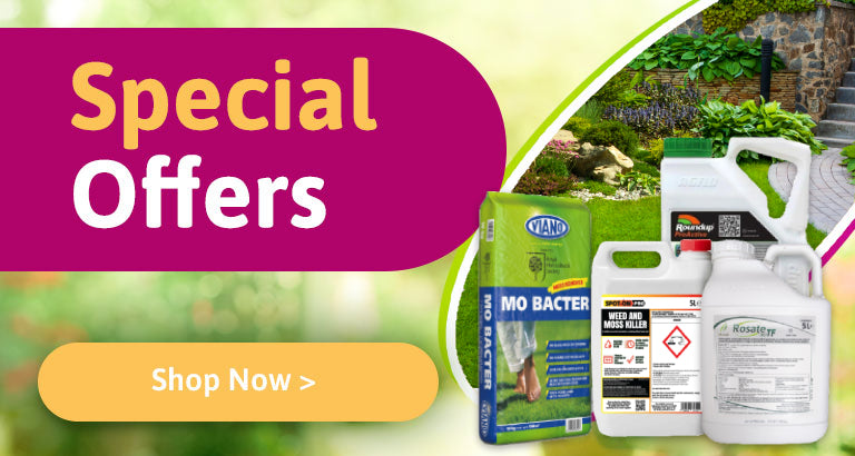 Special Offers