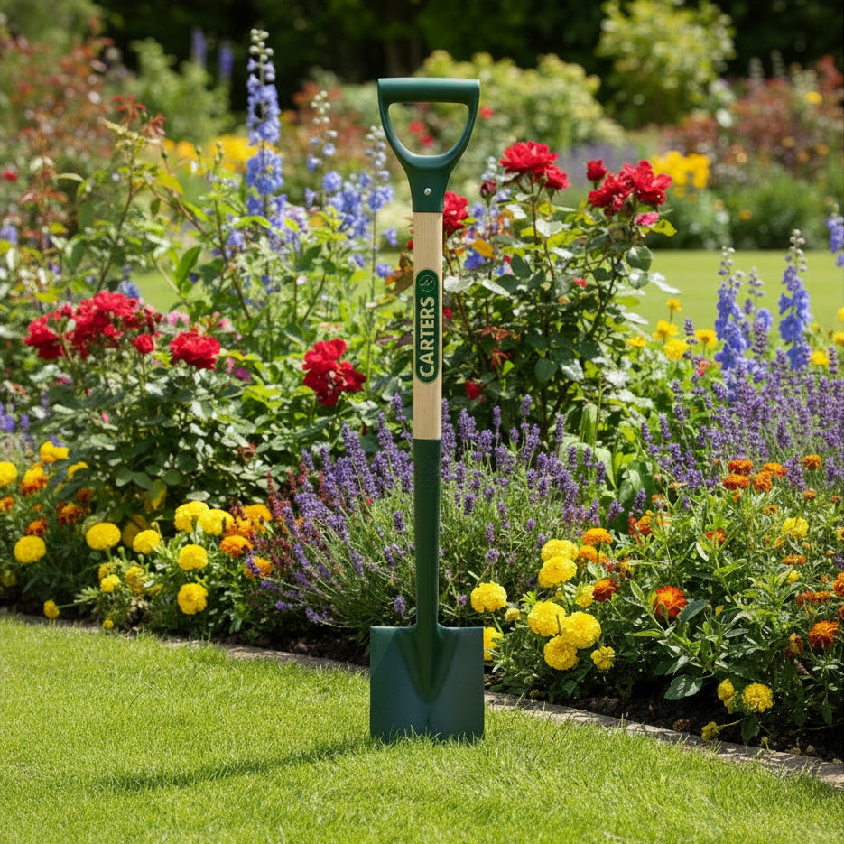 Border Spade Solid Forged with Ash Handle