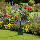 Border Spade Solid Forged with Ash Handle
