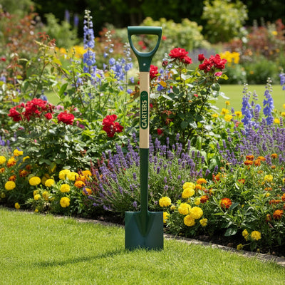 Border Spade Solid Forged with Ash Handle