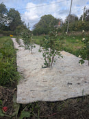 BioWool® Weed Suppressant Mulch Mats