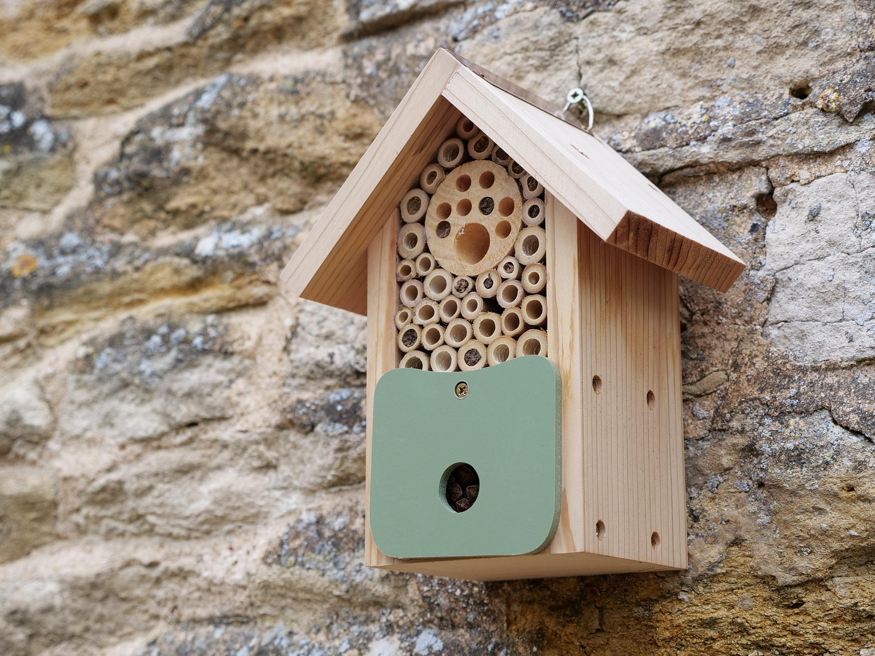 Bee Barn