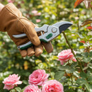 By-Pass Secateurs 8"