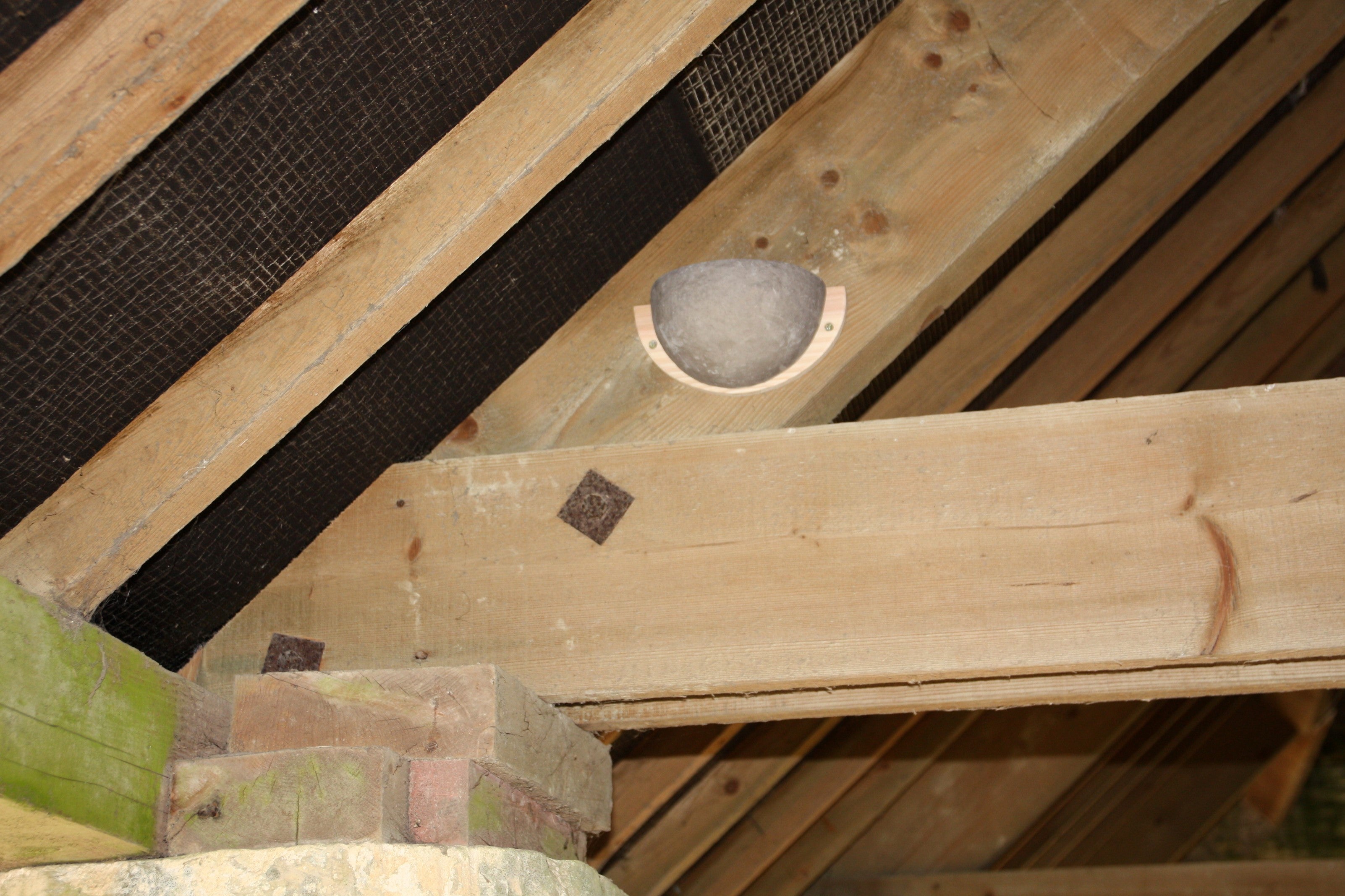 Swallow Nesting Bowl