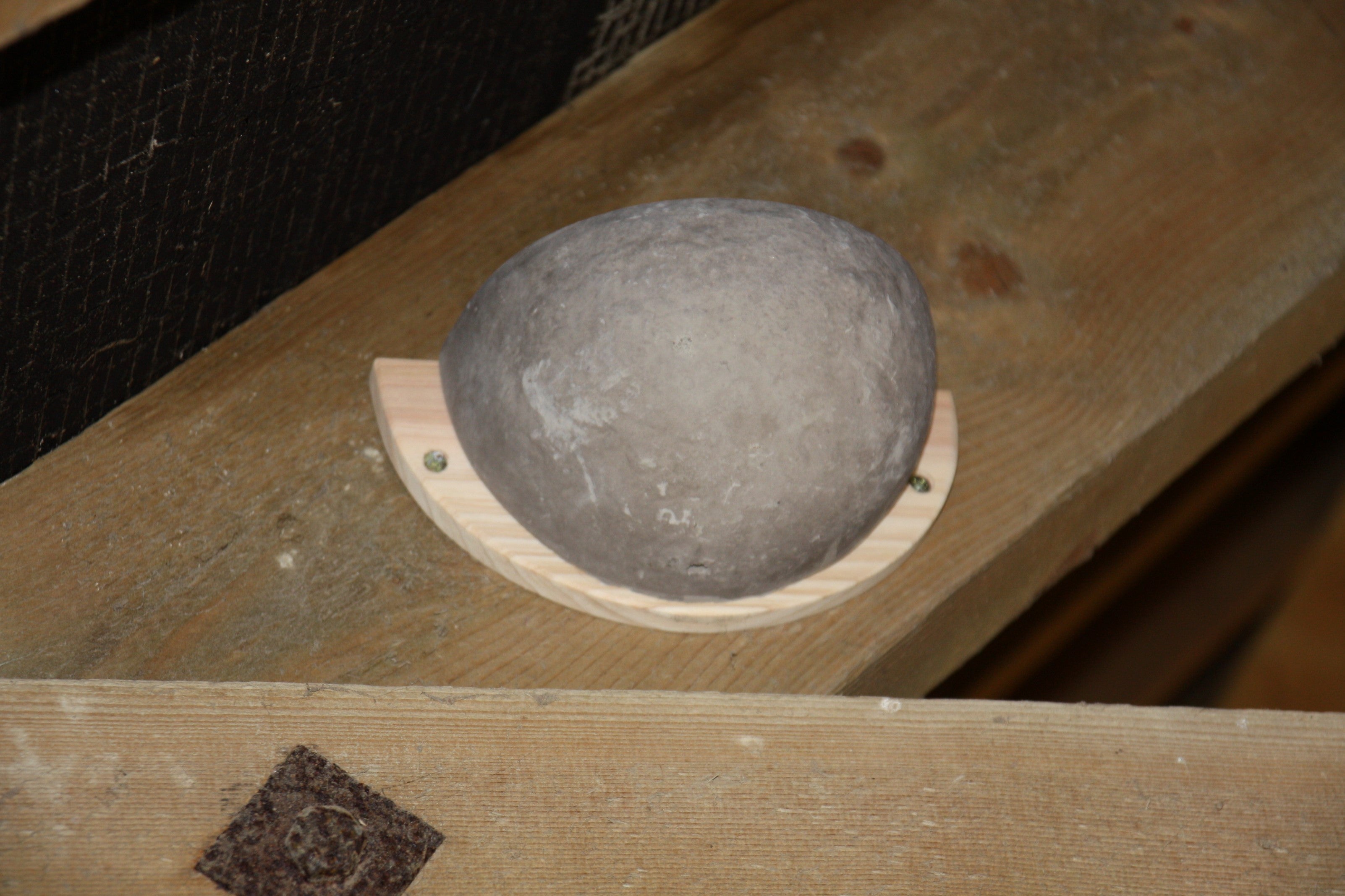 Swallow Nesting Bowl