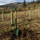 Forged Tree Planting Spade