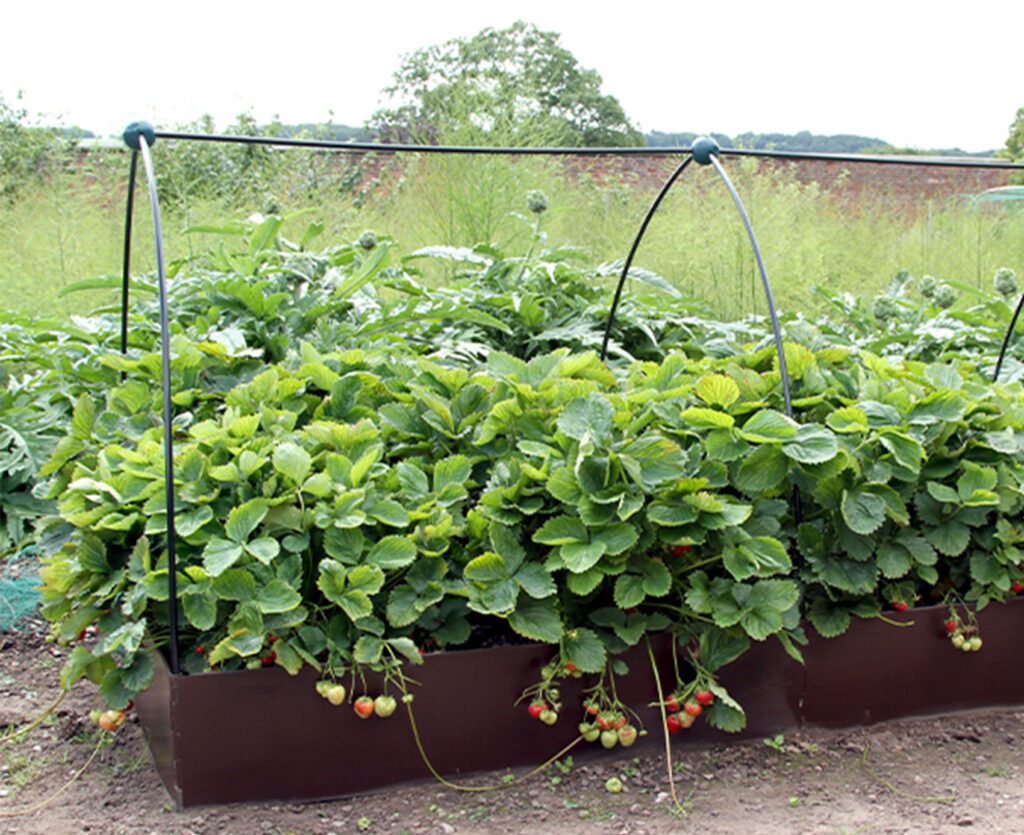 EverEdge EasyBed Raised Planters