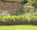 EverEdge EasyBed Raised Planters