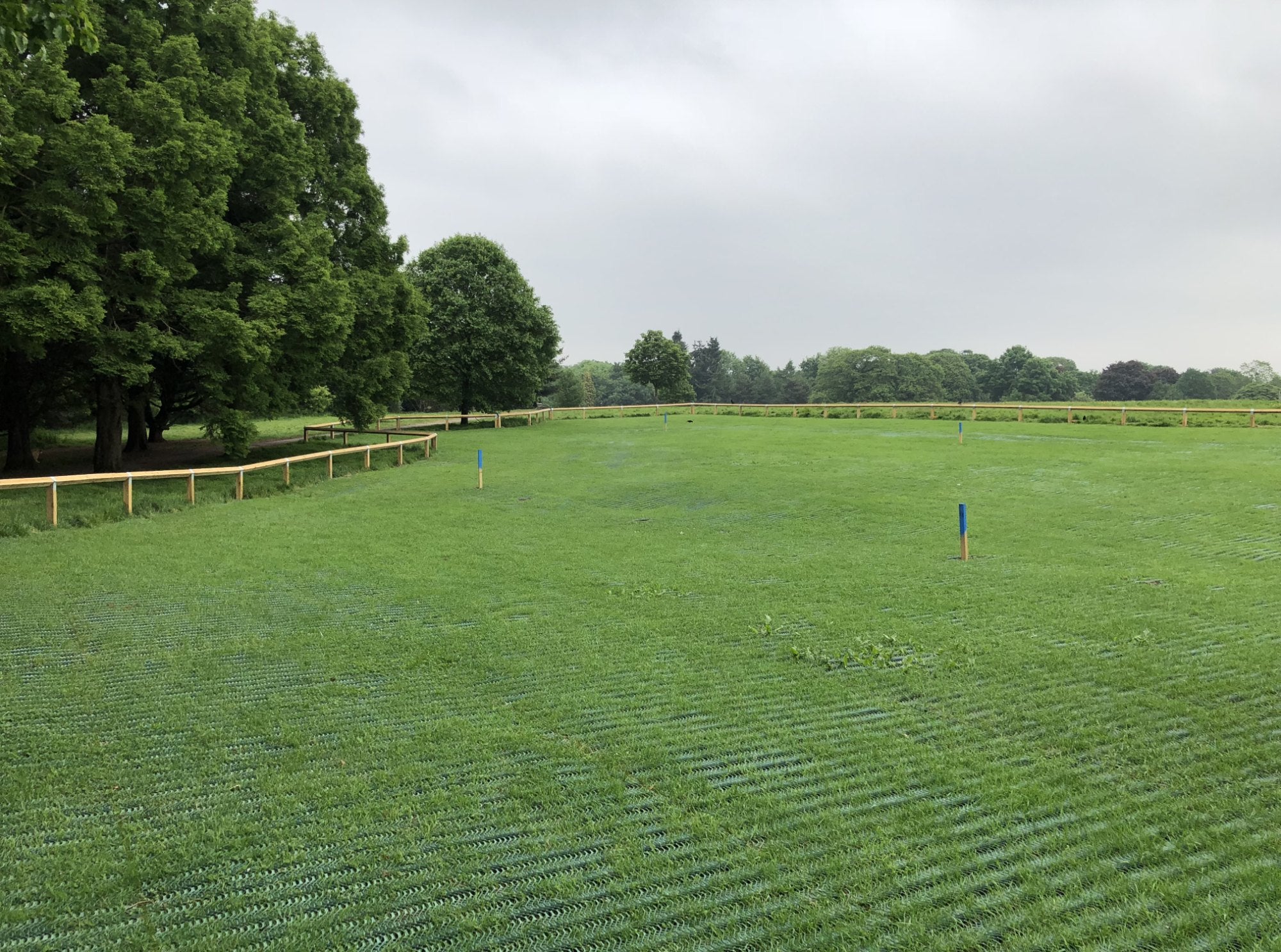 Grass Reinforcement Mesh Heavy Duty field