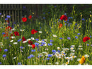 High Nutrient Soils Annuals Perennials Wildflower