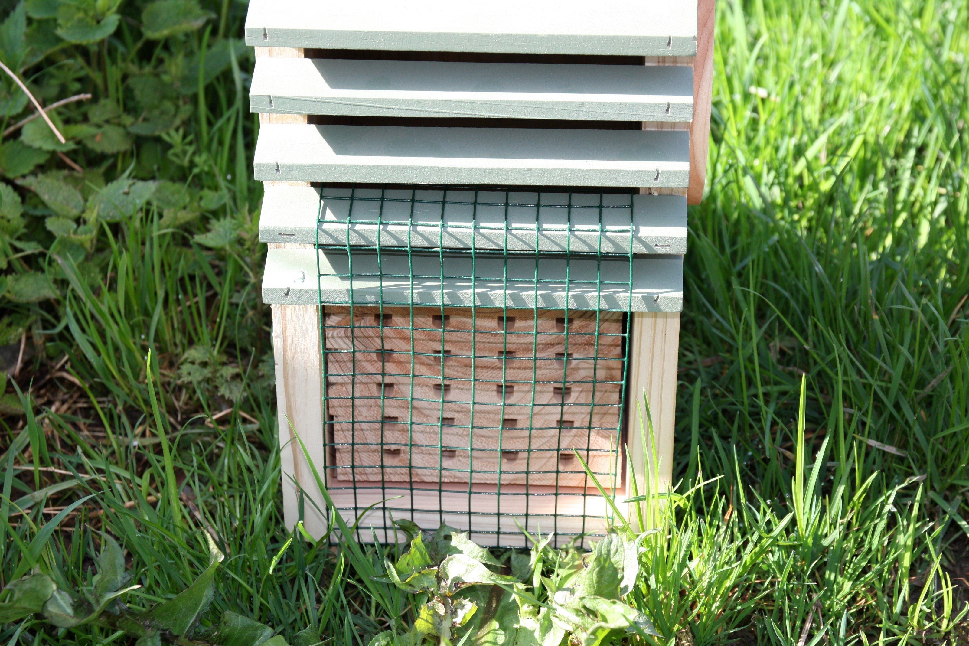 Insect Study Block Area Wildlife World Insect Study Centre | Amenity Choice