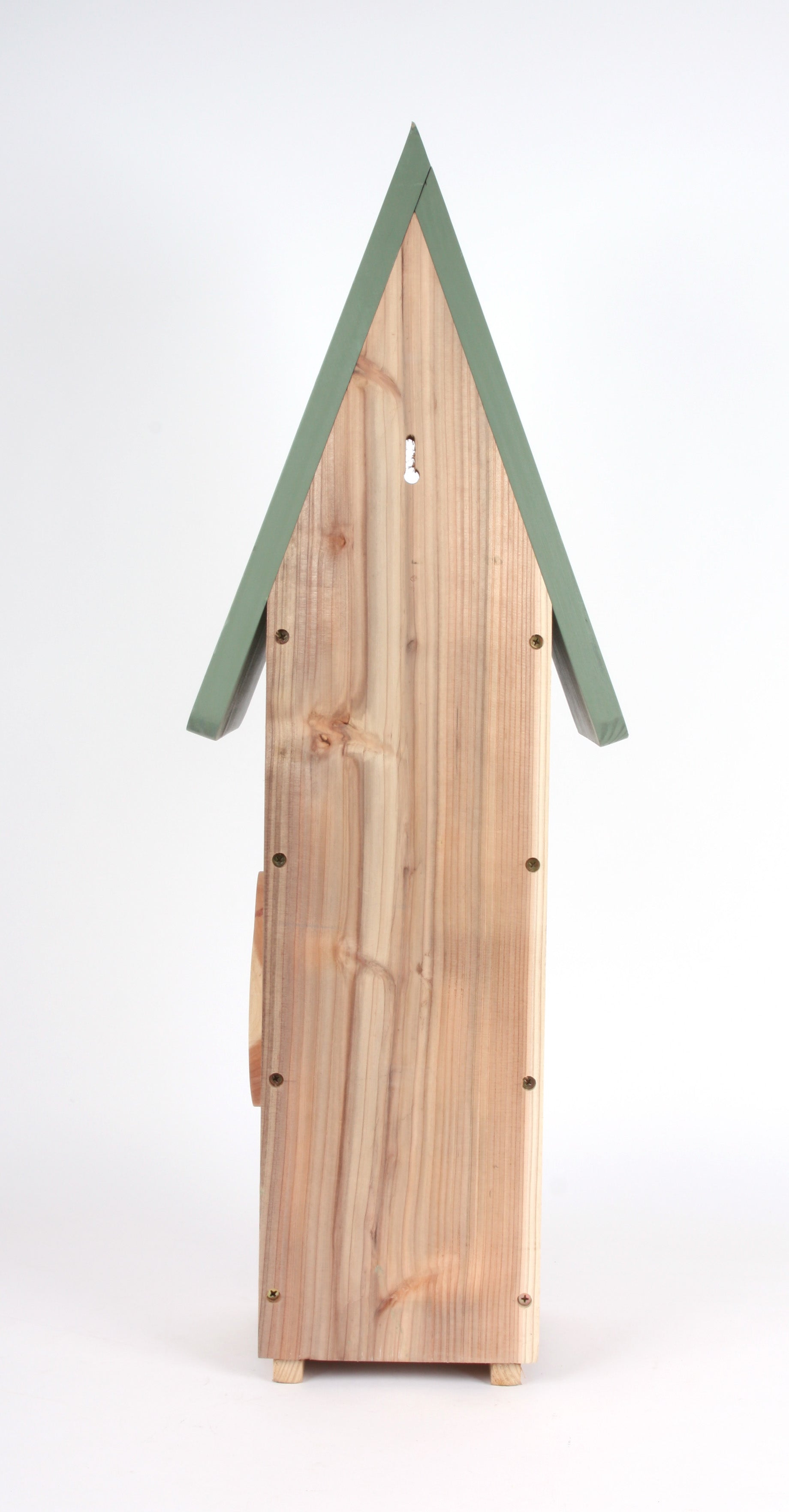ICSC_nt-studio-back.JPG
