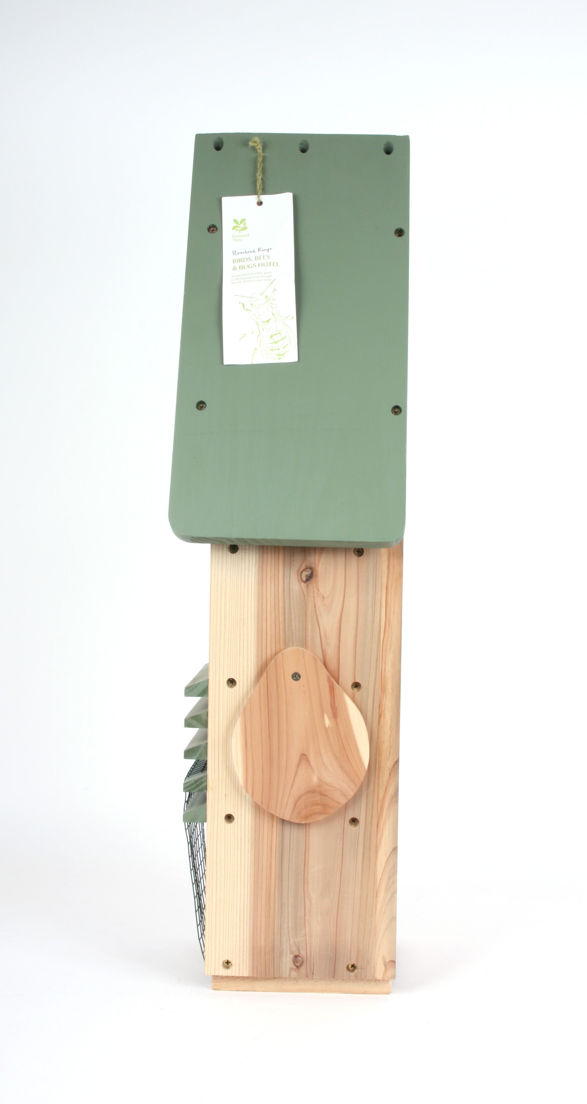 ICSC_nt-studio-side1.JPG