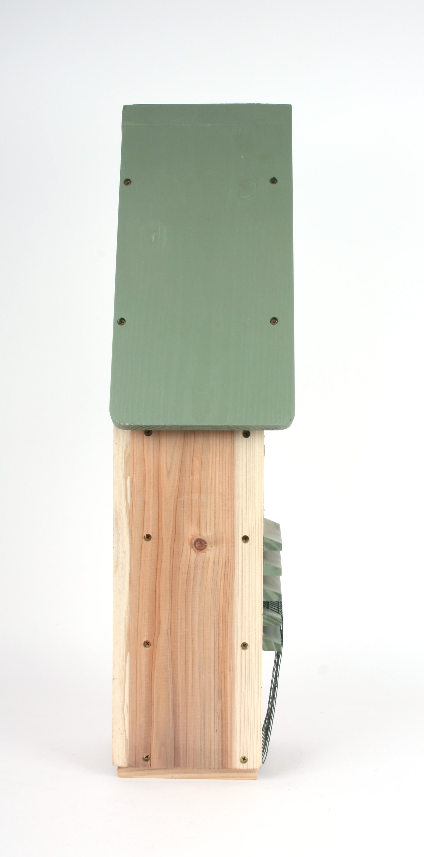 ICSC_nt-studio-side2.JPG